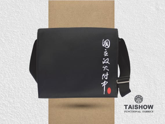 政大附中